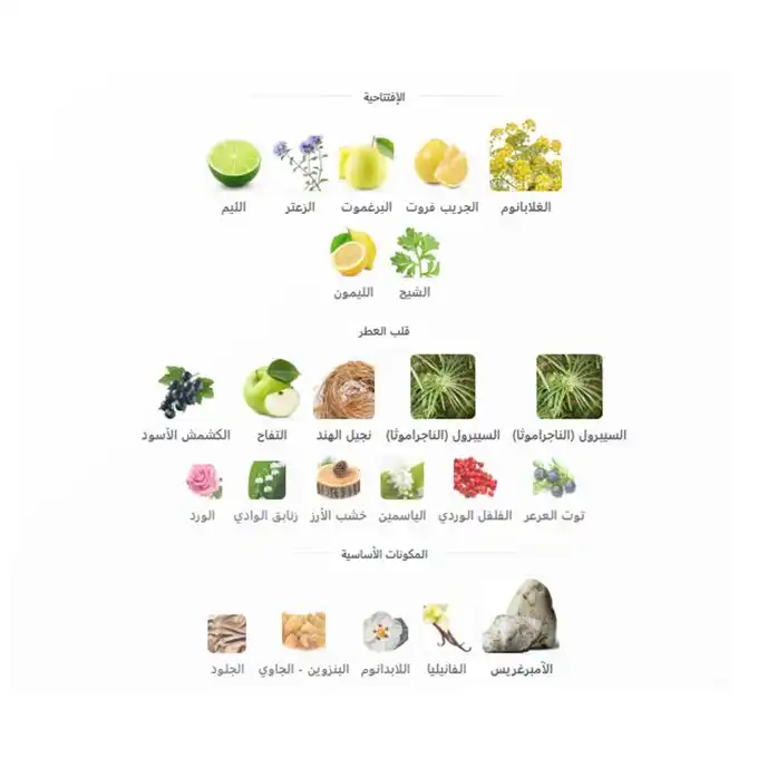 برفان اريبيا حمد Le Chameau Arabia Hamad - For Men - EDP - 100ml