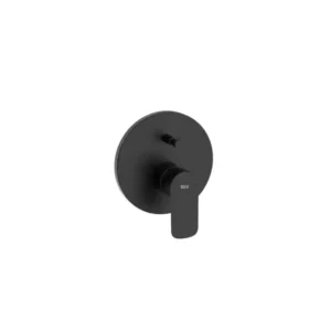 هيكل خلاط دش مدفون مع محول مستورد من روكا، أسود مطفي